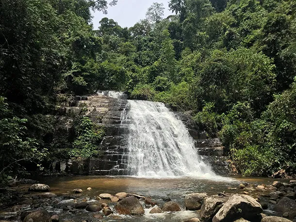 Bukit Hijau Recreational Forest Kedah Image