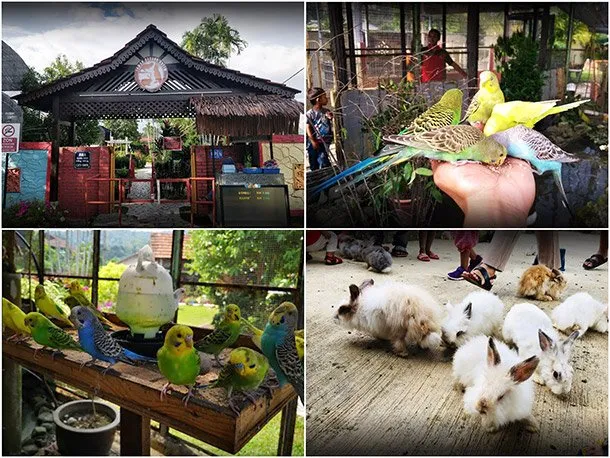 Taman Burung Kulim Kedah